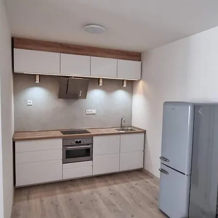 V Centru Ostravy Apartment Ostrava