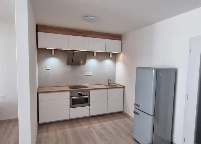 V Centru Ostravy Apartment Ostrava